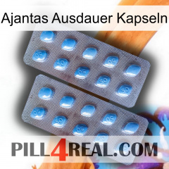 Ajantas Stamina Capsules viagra4